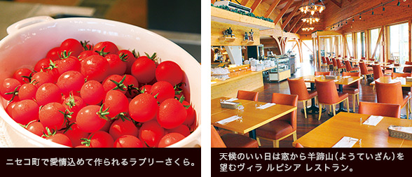 ニセコ町で愛情込めて作られるラブリーさくら。/天候のいい日は窓から羊蹄山(ようていざん)を望むヴィラ ルピシア レストラン。