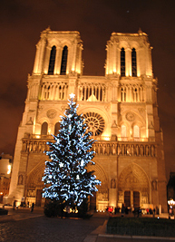 ノートルダム大聖堂の前の巨大なクリスマスツリー ノートルダム大聖堂の前の巨大なクリスマスツリー