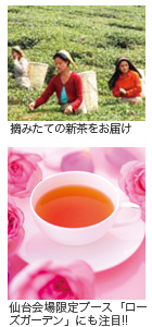 グラン・マルシェ 摘みたての新茶をお届け、仙台限定ブース「ローズガーデン」にも注目!
