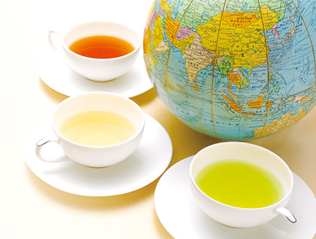 お茶入門