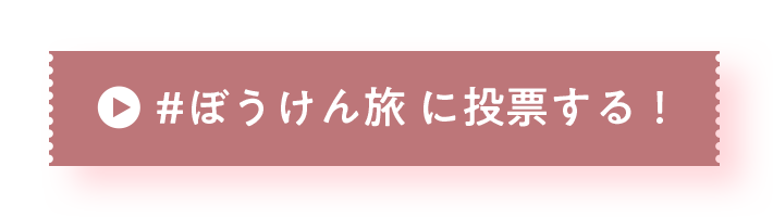 ぼうけん旅に投票する！