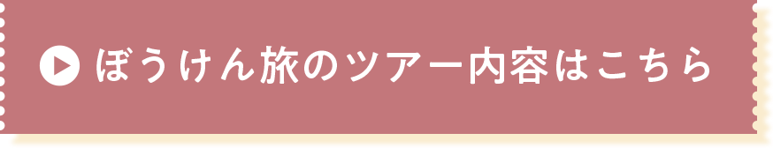 ぼうけん旅のツアー内容はこちら