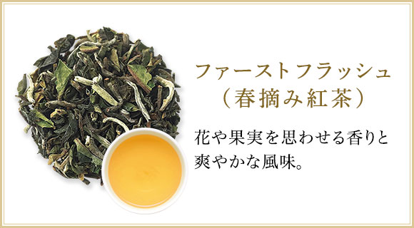 Lupicia ダージリン ファーストフラッシュとは The Darjeeling Tea 紅茶の最高峰 ダージリン 世界のお茶専門店 ルピシア 紅茶 緑茶 烏龍茶 ハーブ