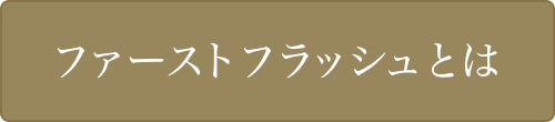 ファーストフラッシュとは