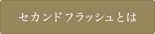 セカンドフラッシュとは