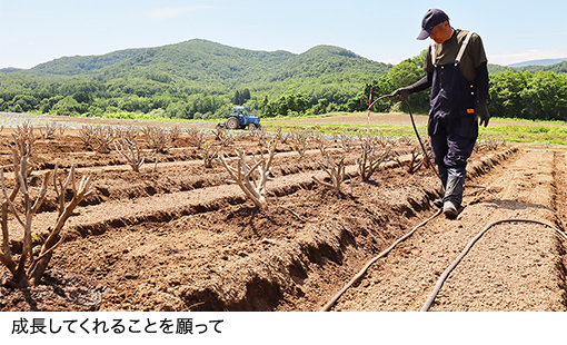 成長してくれることを願って