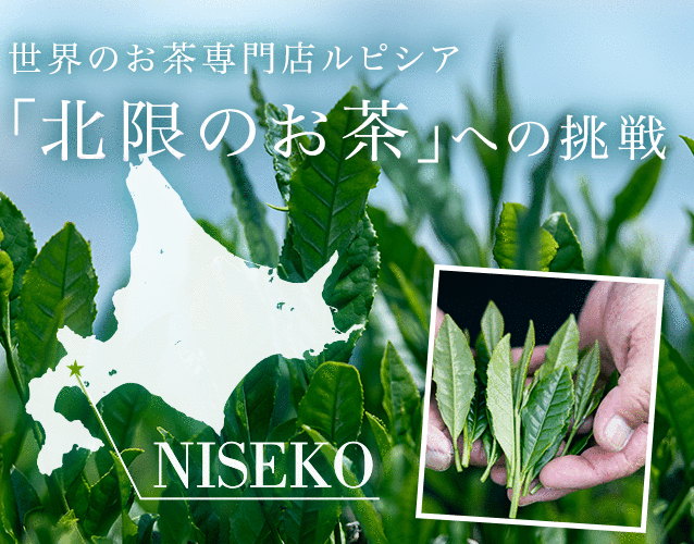 「北限のお茶」への挑戦