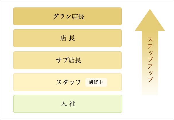 販売専門職 キャリア例