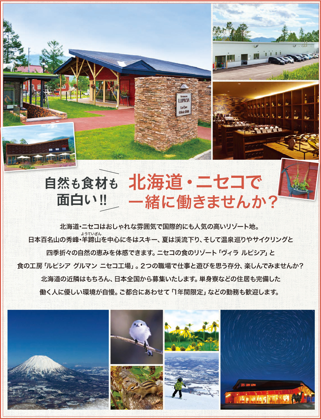 ヴィラ ルピシアで働きませんか？スタッフ募集中！世界のお茶専門店ルピシアがプロデュースする食のリゾート「ヴィラ ルピシア」と、2017年に新しく造った食の工房「ルピシアグルマン ニセコ工場」（ニセコ町）では業務拡大、工場新設にともない正社員、パート・アルバイトを募集しています。