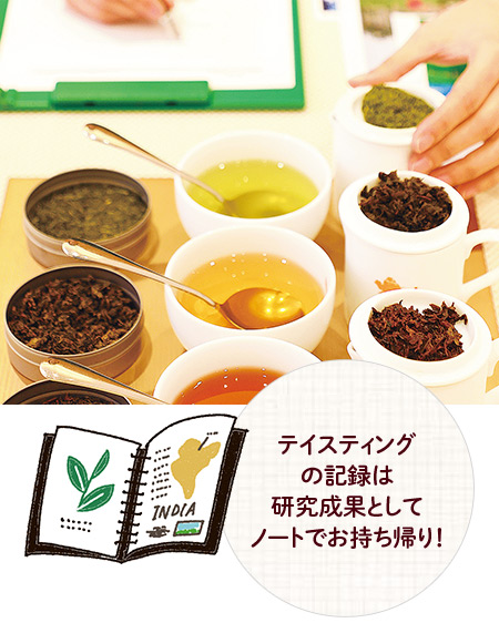 お茶で「自由研究」しませんか?