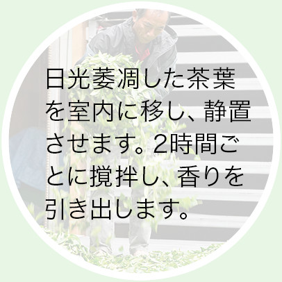 室内萎凋