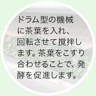  揺青（ようせい）