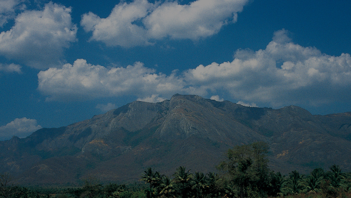 ニルギリの産地の青い山の画像